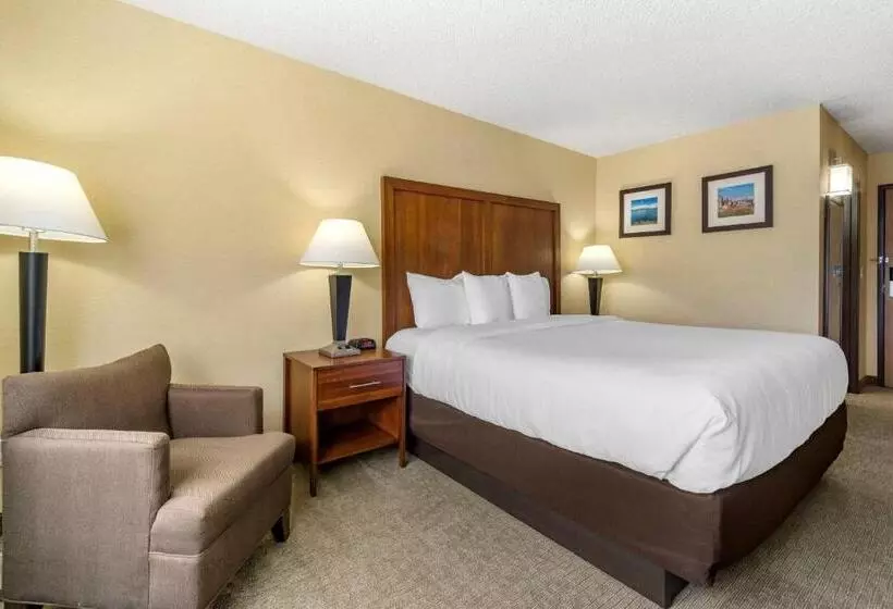 キングサイズベッドのスタンダードルーム, Comfort Inn & Suites Bothell Seattle North