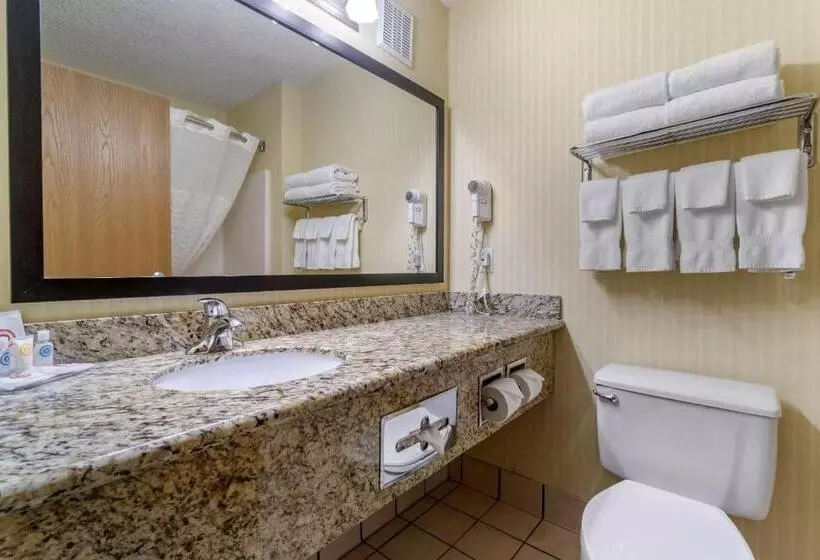 キングサイズベッドのスイートルーム, Comfort Inn & Suites Bothell Seattle North