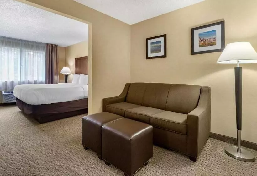 キングサイズベッドのスイートルーム, Comfort Inn & Suites Bothell Seattle North