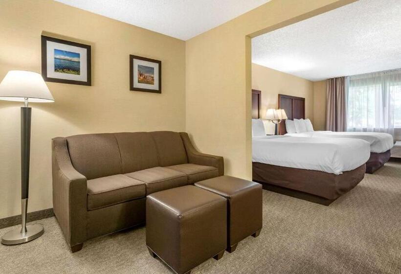 스위트, Comfort Inn & Suites Bothell   Seattle North