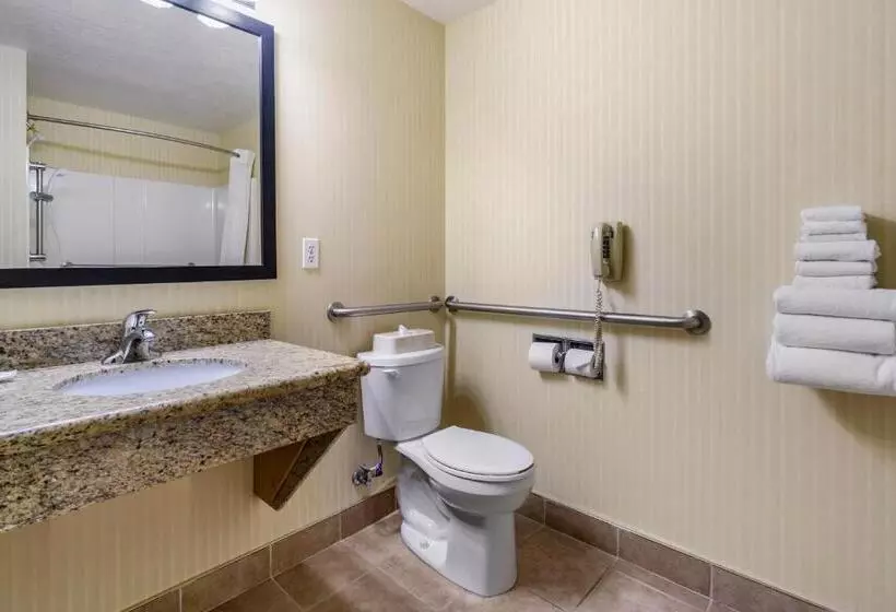 身障者適用スタンダードルーム, Comfort Inn & Suites Bothell Seattle North