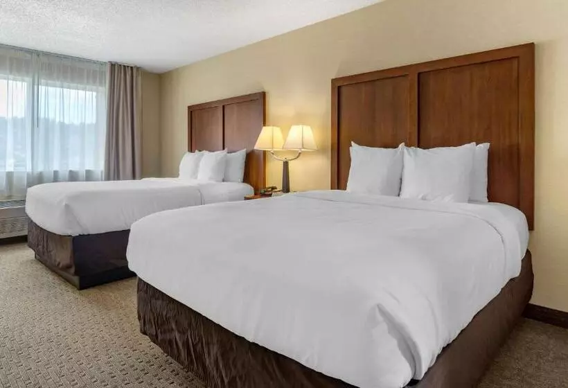 身障者適用スタンダードルーム, Comfort Inn & Suites Bothell Seattle North