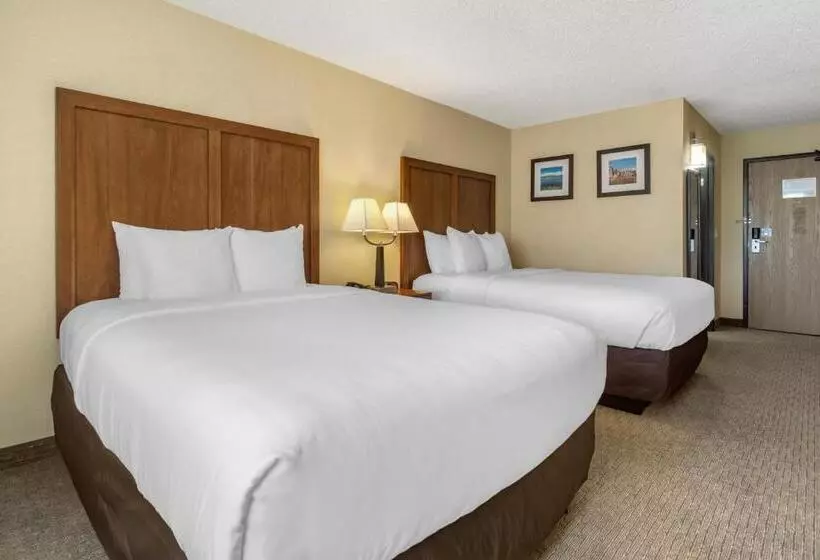 身障者適用スタンダードルーム, Comfort Inn & Suites Bothell Seattle North