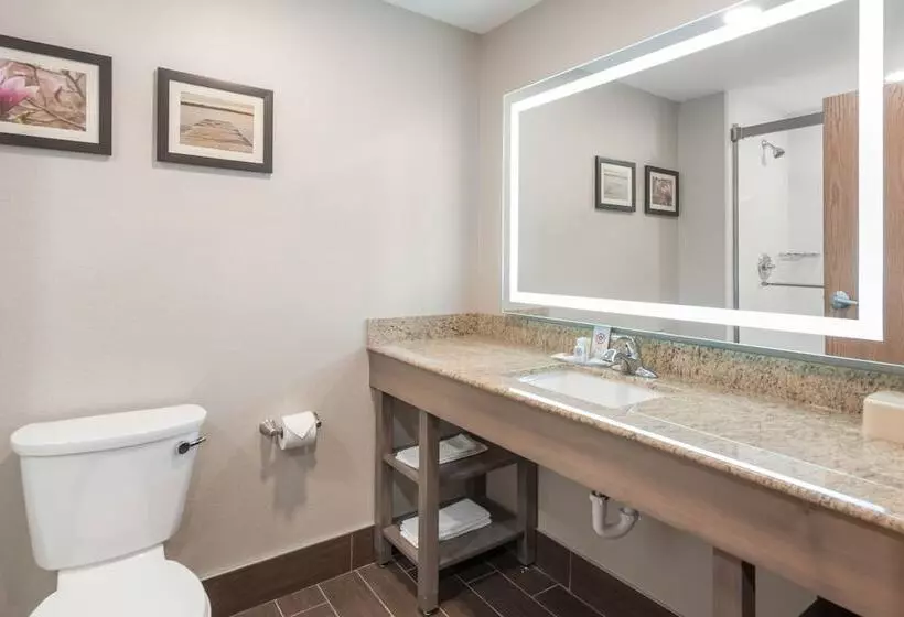 スイート, Comfort Inn Grove City  Columbus South