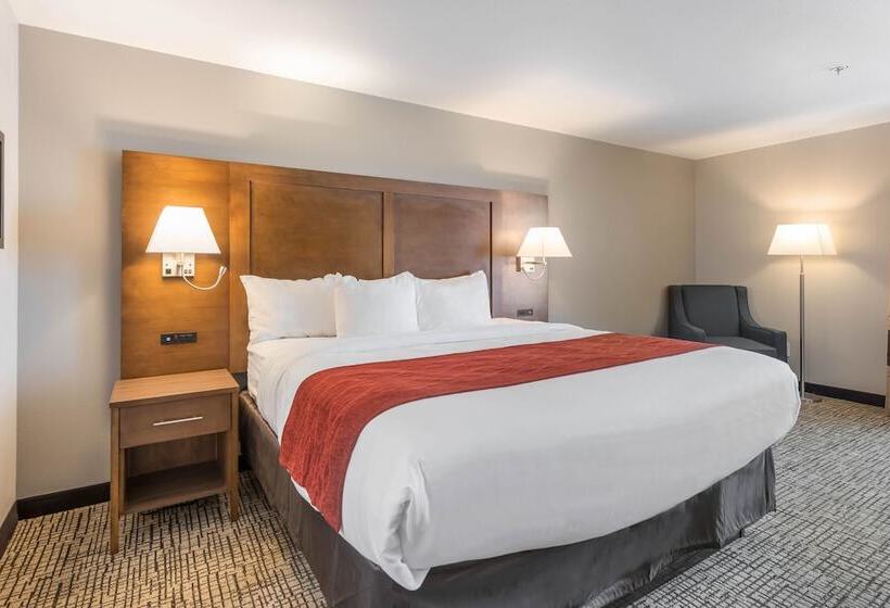 غرفة قياسية سرير كينج, Comfort Inn Grove City  Columbus South