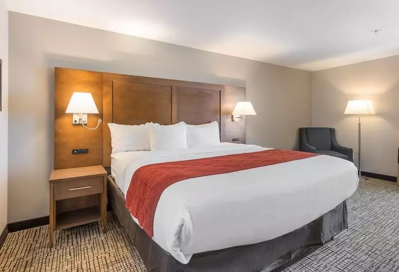 キングサイズベッドのスタンダードルーム, Comfort Inn Grove City  Columbus South