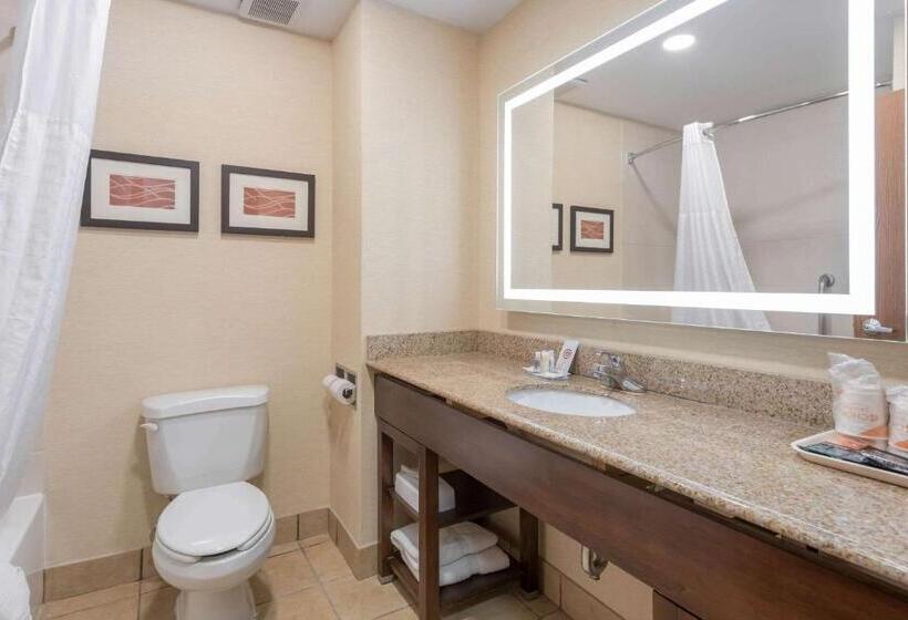 جناح سرير كينج, Comfort Inn Grove City  Columbus South