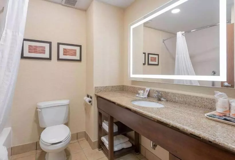 キングサイズベッドのスイートルーム, Comfort Inn Grove City  Columbus South