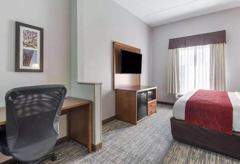 キングサイズベッドのスイートルーム, Comfort Inn Grove City  Columbus South