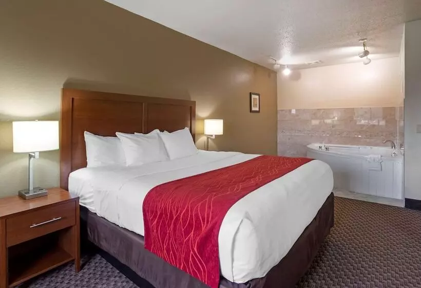 プレジデントスイートルーム, Comfort Inn Hobart Merrillville I 65