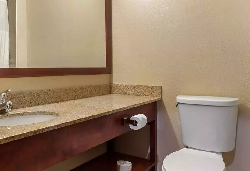 プレジデントスイートルーム, Comfort Inn Hobart Merrillville I 65