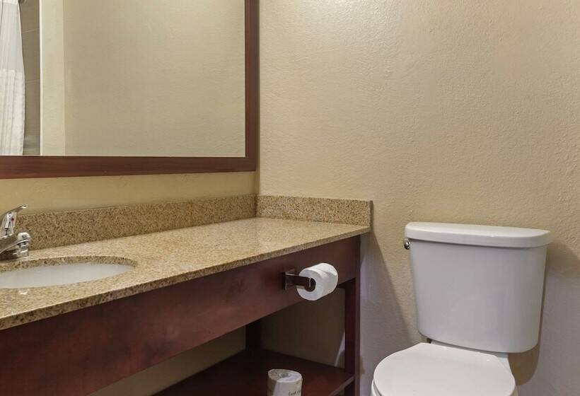جناح رئاسى, Comfort Inn Hobart Merrillville I 65