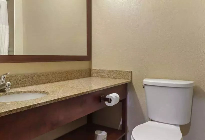 プレジデントスイートルーム, Comfort Inn Hobart Merrillville I 65