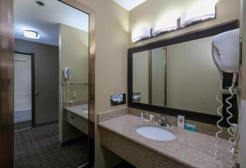 اتاق استاندارد, Comfort Inn Near Gila National Forest