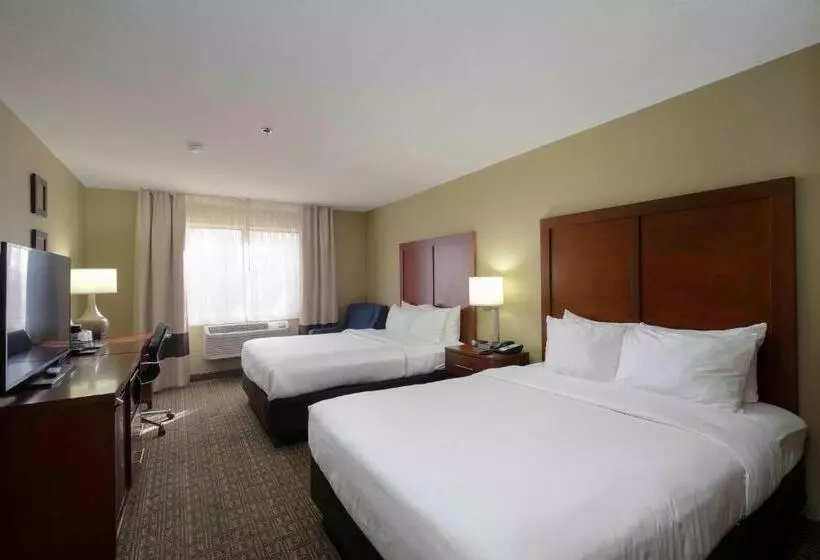 اتاق استاندارد, Comfort Inn Near Gila National Forest