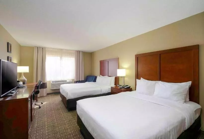 اتاق استاندارد, Comfort Inn Near Gila National Forest