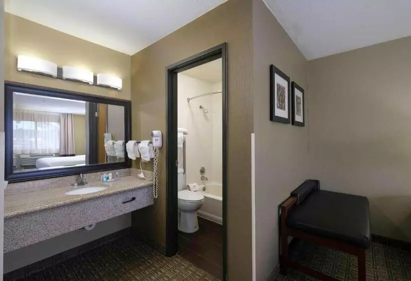 سوئیت با تخت بزرگ, Comfort Inn Near Gila National Forest