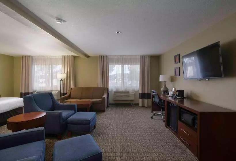 سوئیت با تخت بزرگ, Comfort Inn Near Gila National Forest