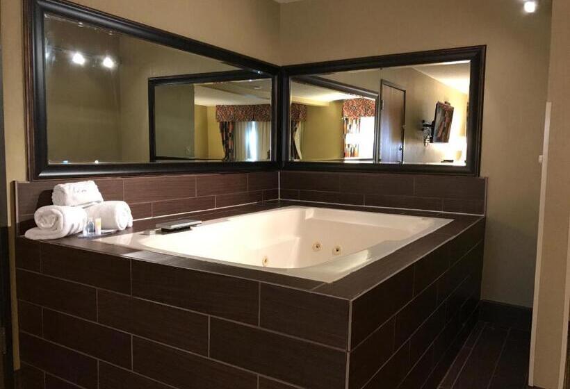 جناح سرير كينج, Comfort Inn Near Gila National Forest