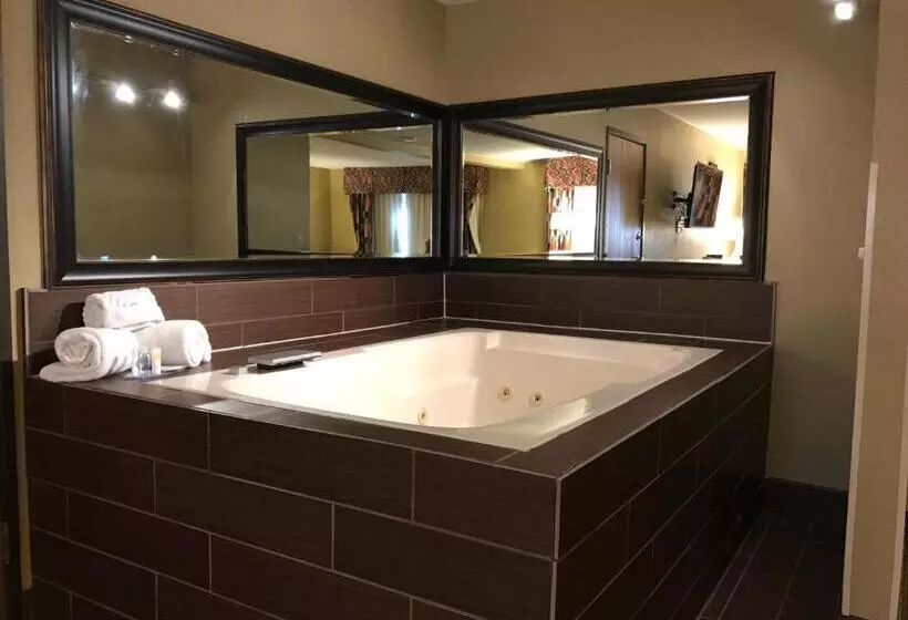 سوئیت با تخت بزرگ, Comfort Inn Near Gila National Forest