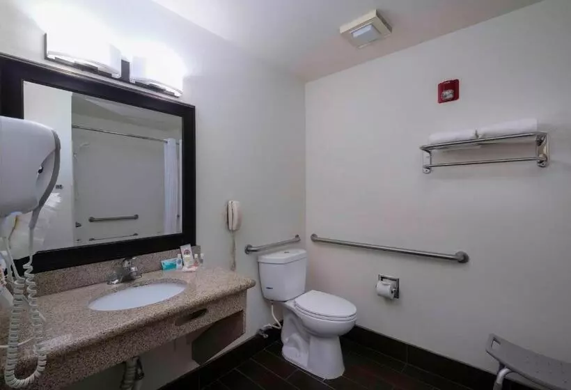 اتاق استاندارد با تخت بزرگ برای معلولان, Comfort Inn Near Gila National Forest
