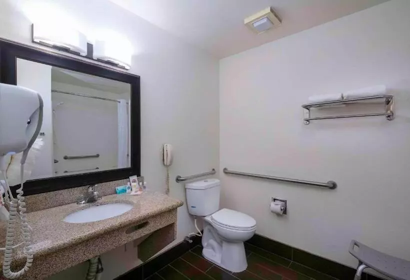 اتاق استاندارد با تخت بزرگ برای معلولان, Comfort Inn Near Gila National Forest
