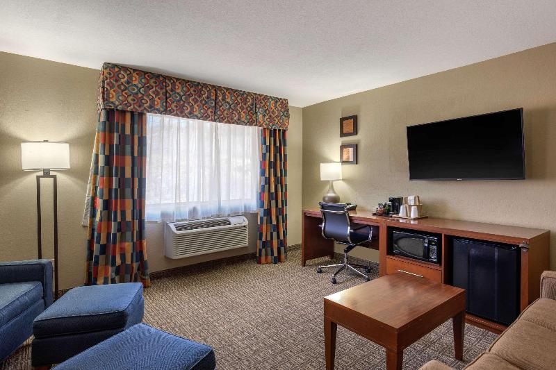 جناح سرير كينج, Comfort Inn Near Gila National Forest