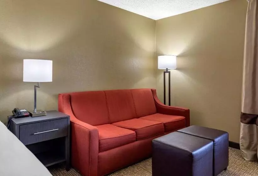 キングサイズベッドのスタンダードルーム, Comfort Inn Opelika  Auburn