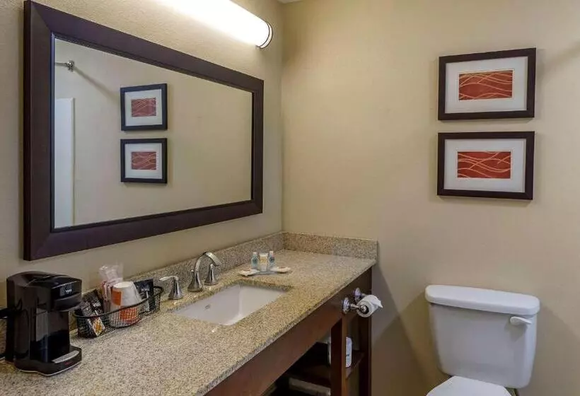 キングサイズベッドのスタンダードルーム, Comfort Inn Opelika  Auburn