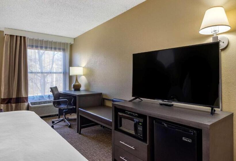 带大床的标准间, Comfort Inn Opelika  Auburn