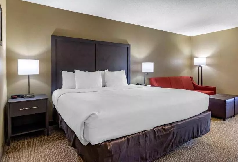 キングサイズベッドのスタンダードルーム, Comfort Inn Opelika  Auburn