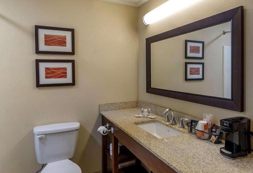 带大床的标准间, Comfort Inn Opelika  Auburn