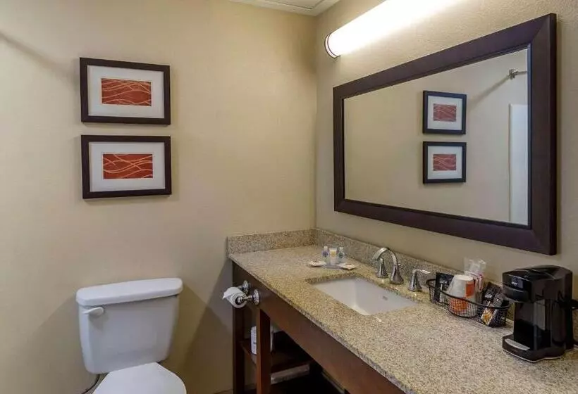 キングサイズベッドのスタンダードルーム, Comfort Inn Opelika  Auburn