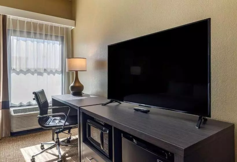 スタンダードルーム, Comfort Inn Opelika  Auburn