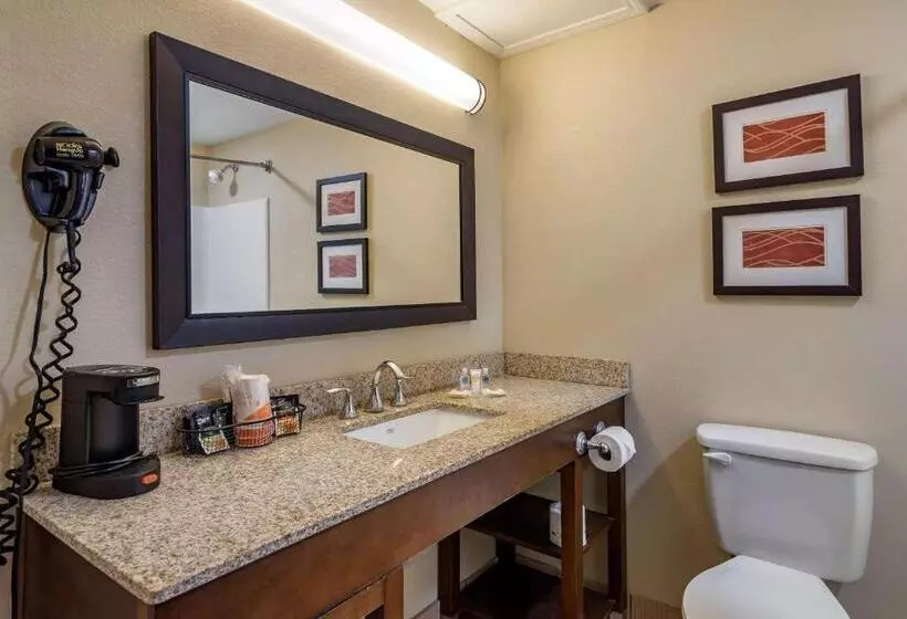 スタンダードルーム, Comfort Inn Opelika  Auburn