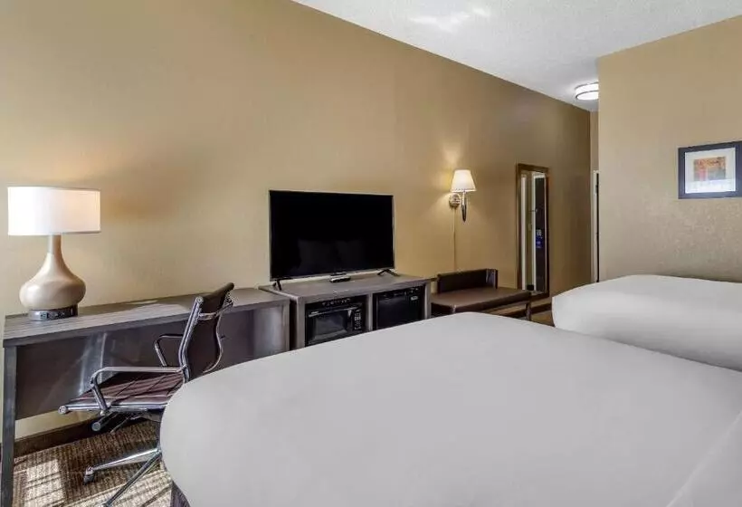 スタンダードルーム, Comfort Inn Opelika  Auburn