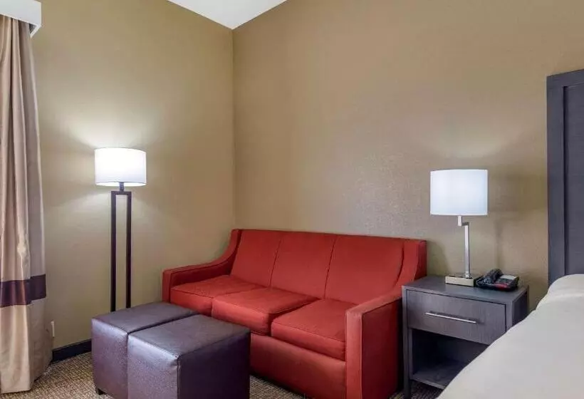 身障者適用キングサイズベッドルーム, Comfort Inn Opelika  Auburn