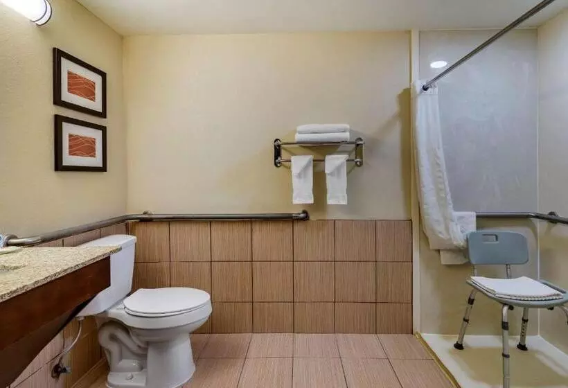 身障者適用キングサイズベッドルーム, Comfort Inn Opelika  Auburn