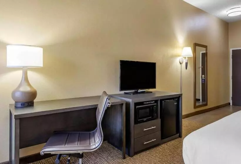 身障者適用キングサイズベッドルーム, Comfort Inn Opelika  Auburn