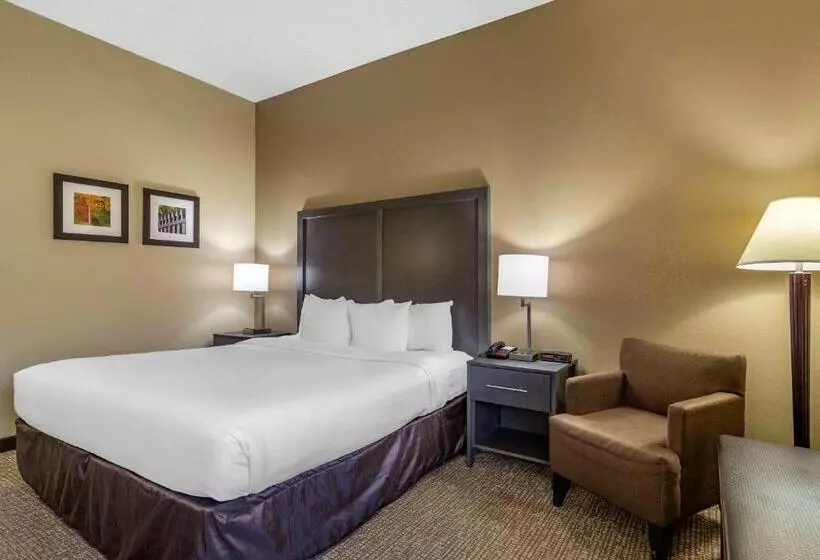 身障者適用キングサイズベッドルーム, Comfort Inn Opelika  Auburn