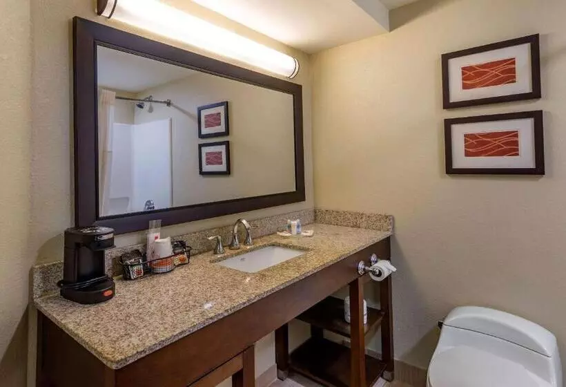 キングサイズベッドのスイートルーム, Comfort Inn Opelika  Auburn