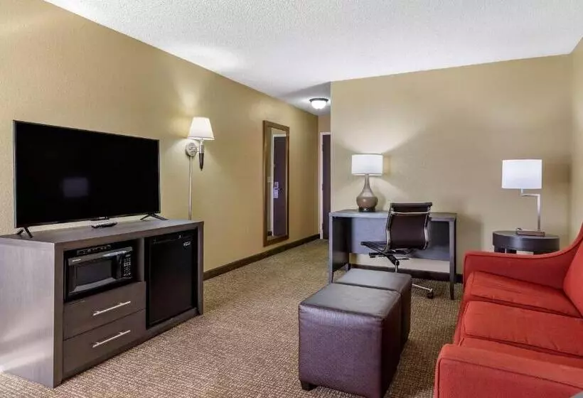 キングサイズベッドのスイートルーム, Comfort Inn Opelika  Auburn