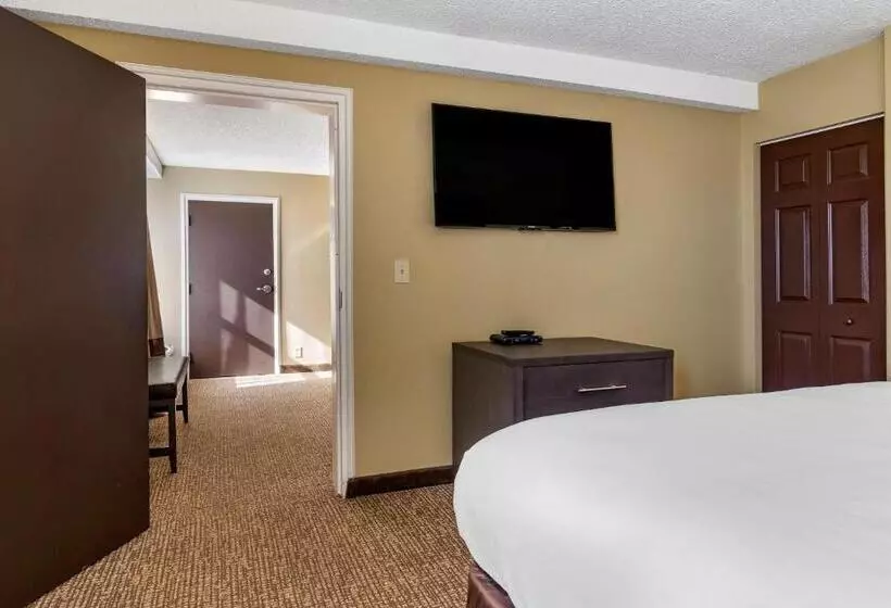 身障者適用スイートルーム, Comfort Inn Opelika  Auburn