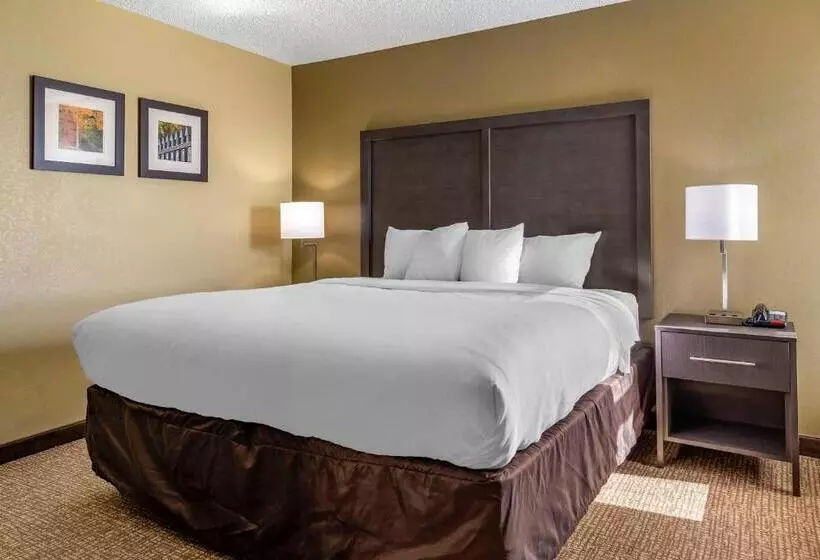 身障者適用スイートルーム, Comfort Inn Opelika  Auburn