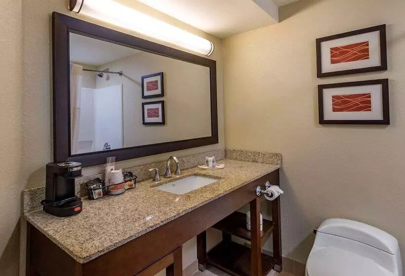 身障者適用スイートルーム, Comfort Inn Opelika  Auburn