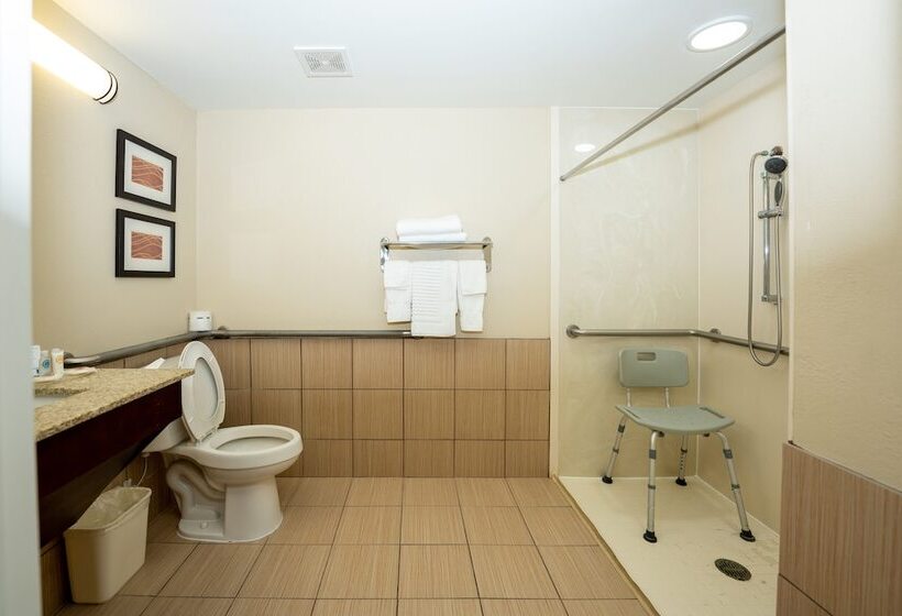 适合残疾人士使用的套间, Comfort Inn Opelika  Auburn