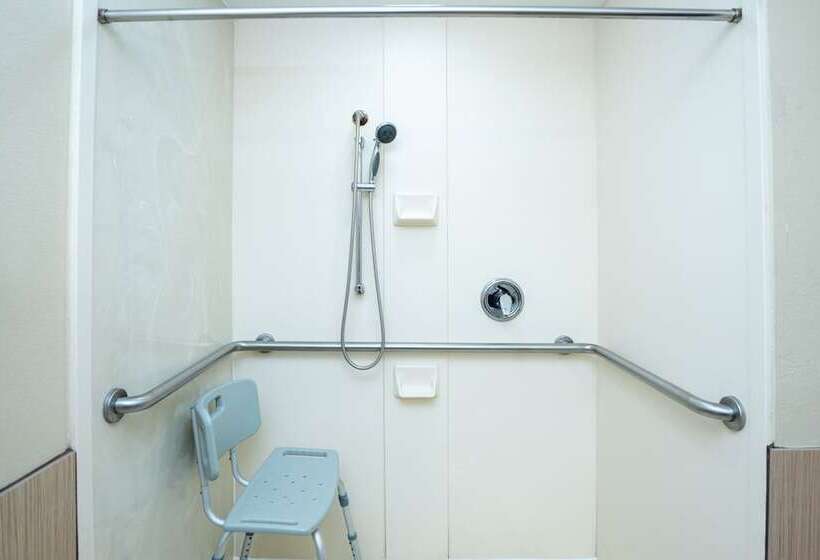 适合残疾人士使用的套间, Comfort Inn Opelika  Auburn