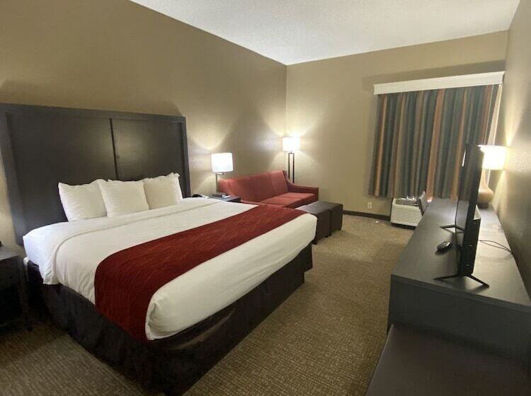 适合残疾人士使用的套间, Comfort Inn Opelika  Auburn