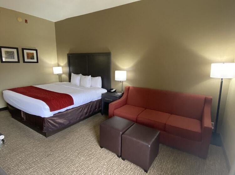 适合残疾人士使用的套间, Comfort Inn Opelika  Auburn