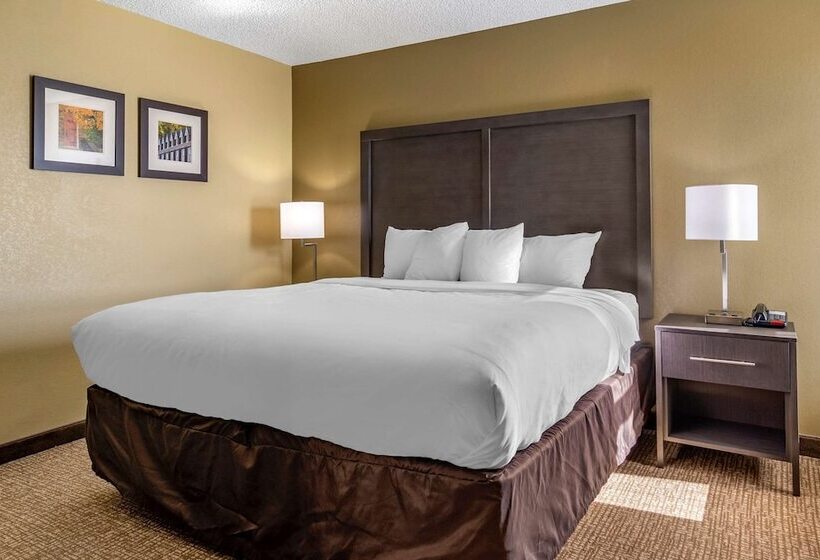 适合残疾人士使用的套间, Comfort Inn Opelika  Auburn